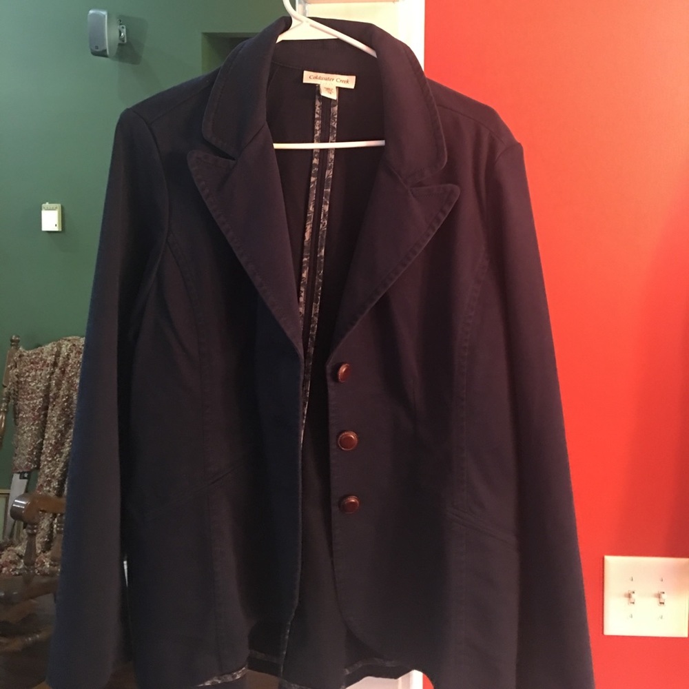 Blue Blazer - image 1