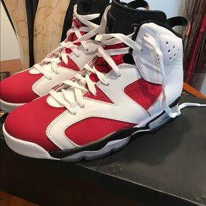 Jordan Carmine 6 2014 Edition