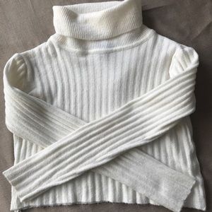 Cropped long sleeve turtle neck sweater