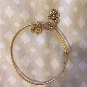 Alex and Ani Bracelet