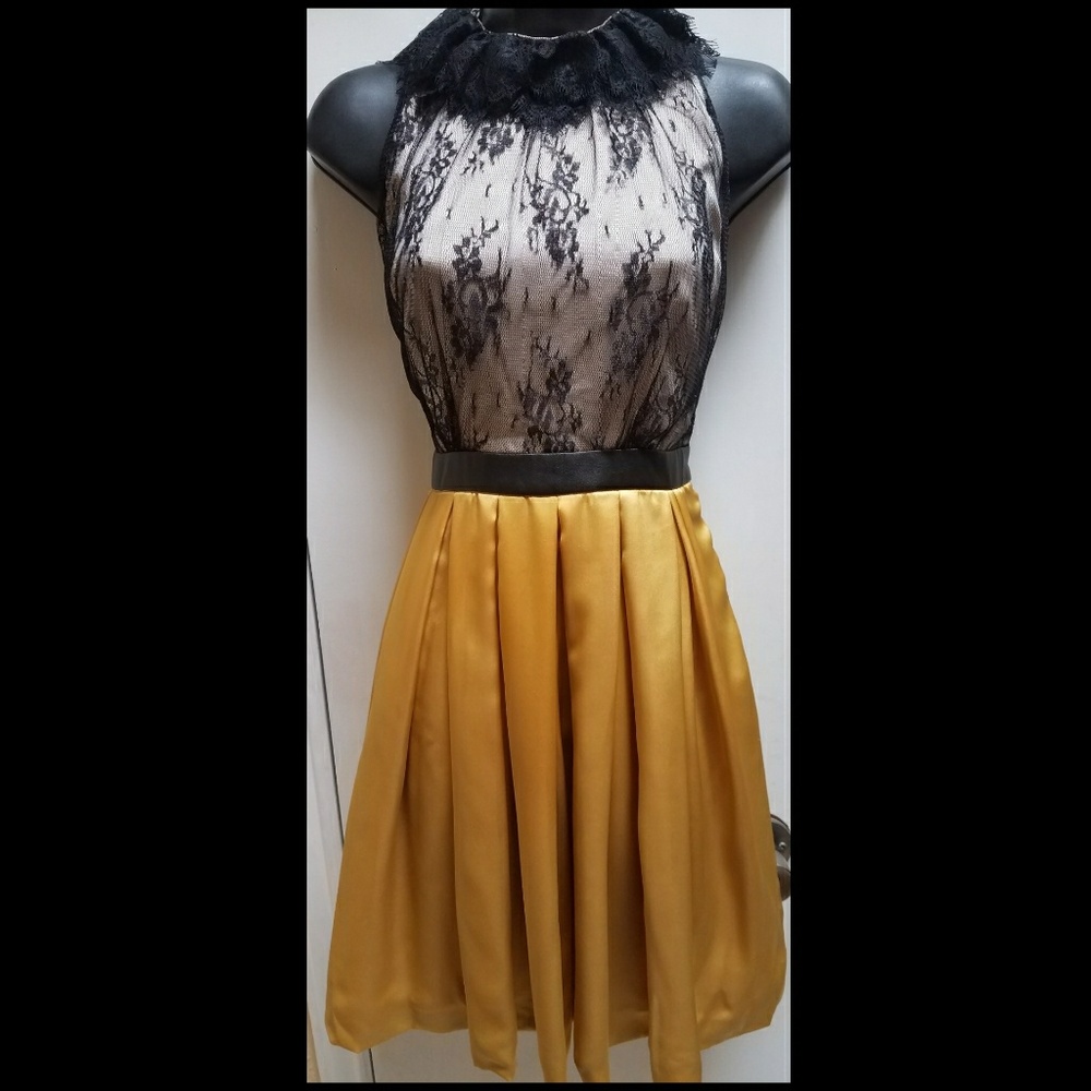 Minuet lace and satin dress