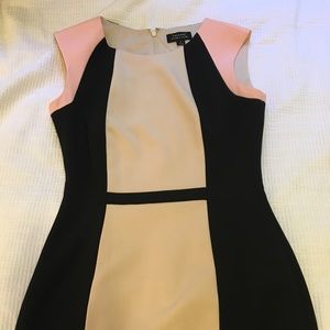 Tahari ASL colorblock sheath dress
