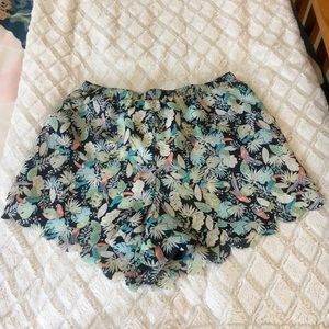 LC Lauren Conrad scalloped shorts