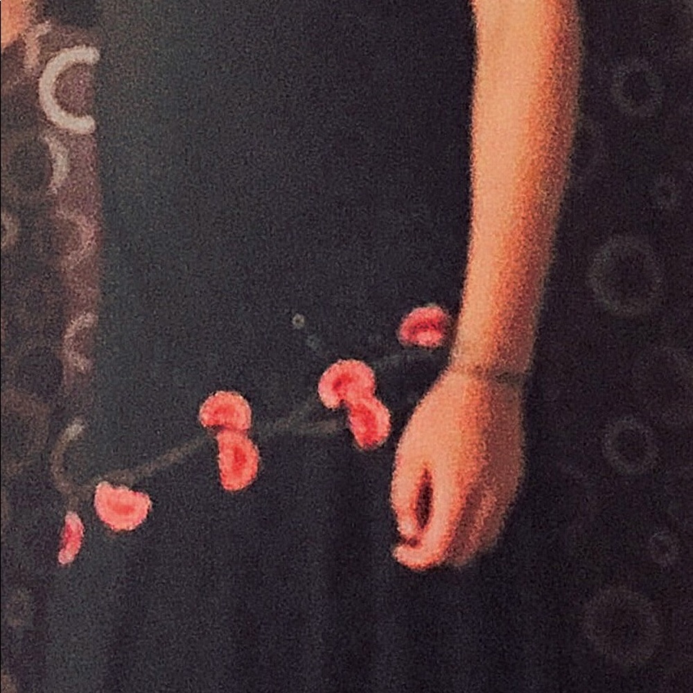 STUNNING DRESS WITH EMELISHED ROSES - Picture 3 of 4