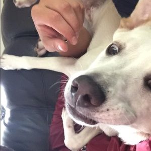 Meet your Posher, Grant