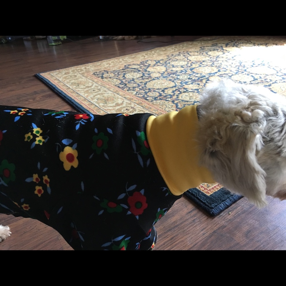 Dog Pajamas