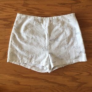 White Lace Shorts