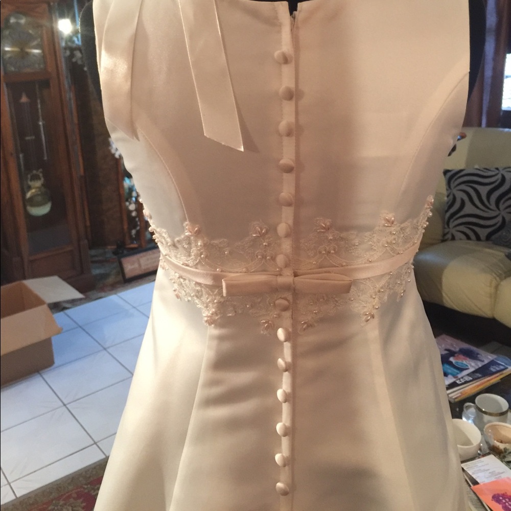 Formal Dress - Picture 3 of 6