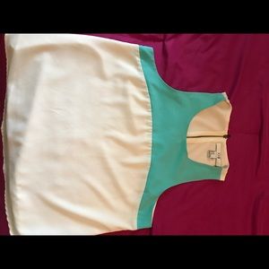 Two Color dress up blouse