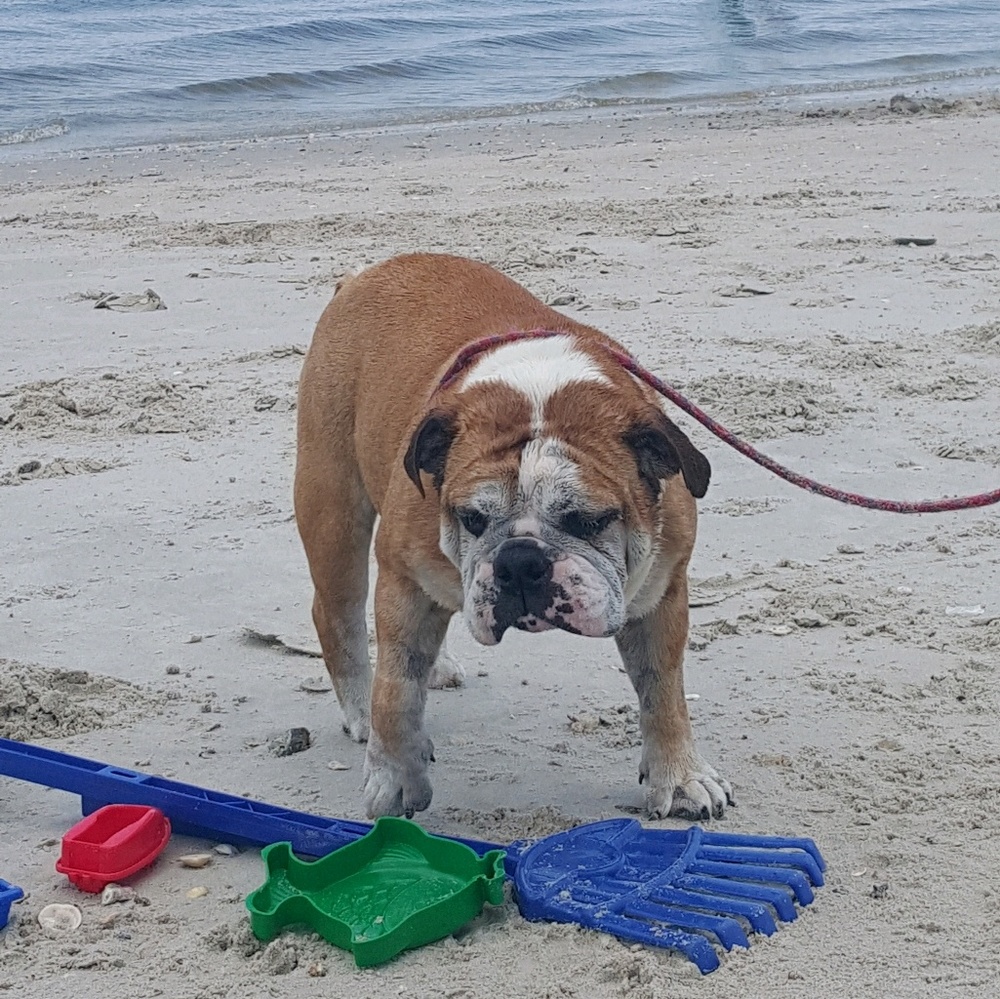 Meet your Posher, Rosana