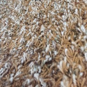 Meet your Posher, Dalton