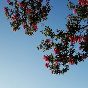 Meet your Posher, Carmen