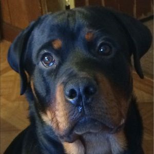 Meet your Posher, Alison