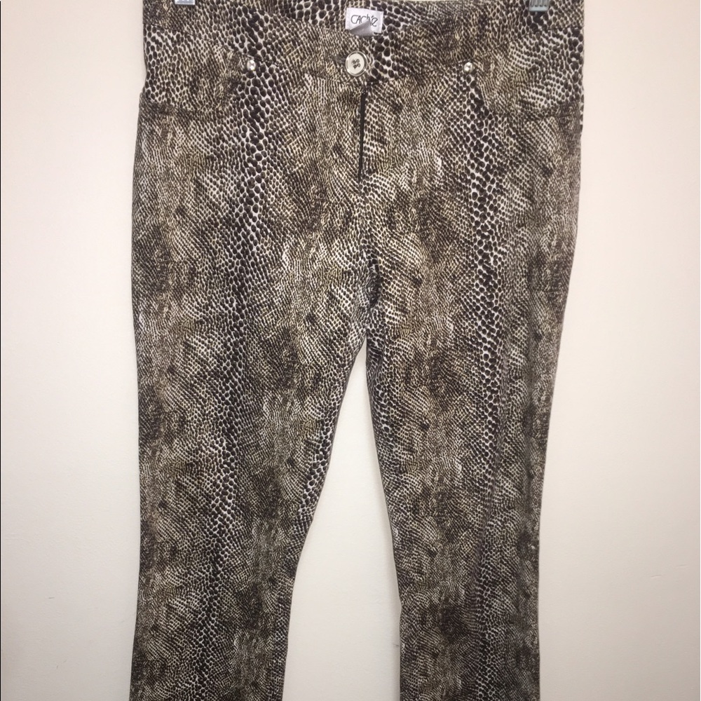 Size 4 animal print cache pants