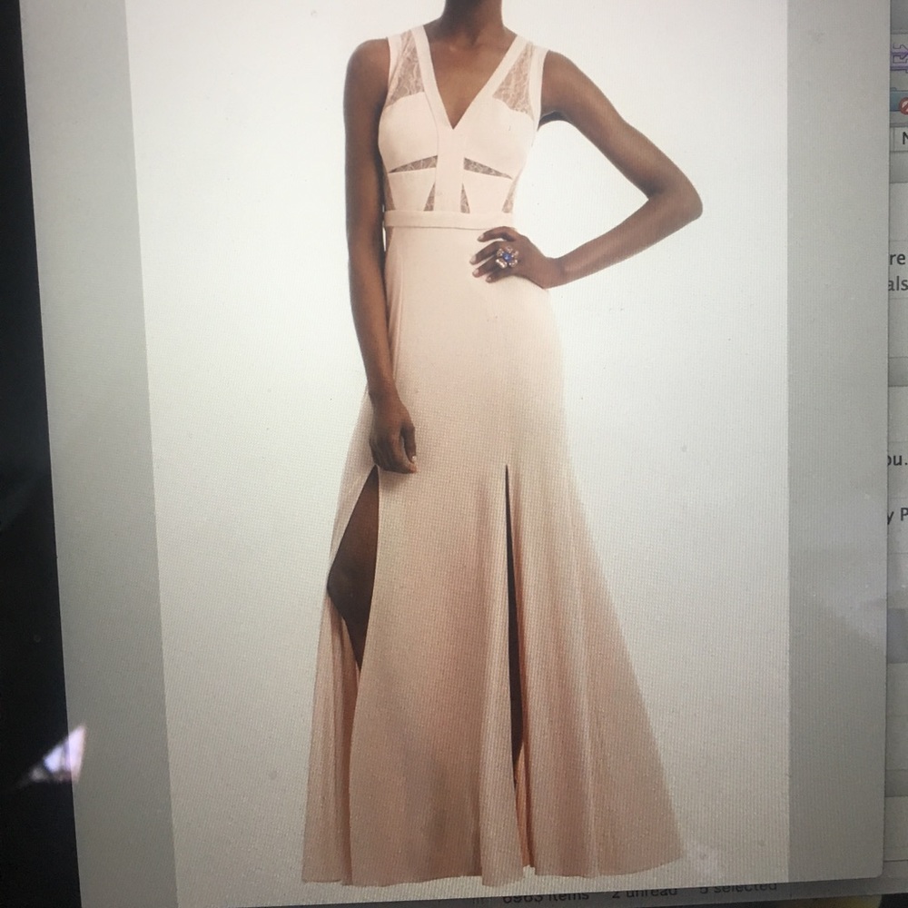 BCBGMAXAZRIA Last Summer Rose Gown