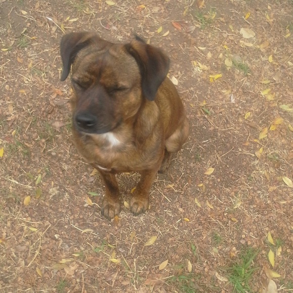 Meet your Posher, Michelle - Picture 2 of 4