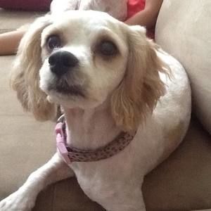 Meet your Posher, Ana