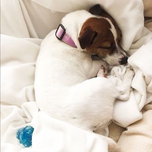 Meet your Posher, Alexandra