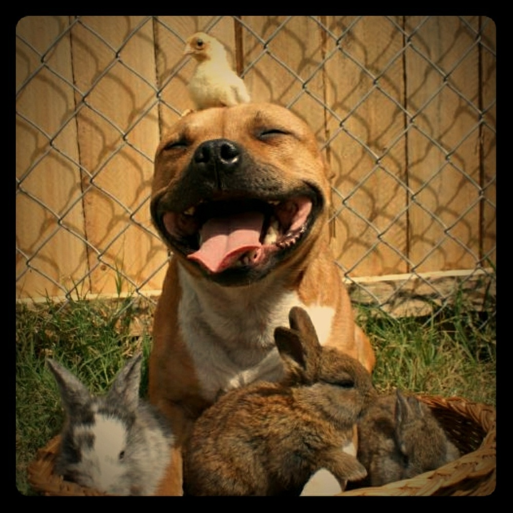 Meet your Posher, Melanie