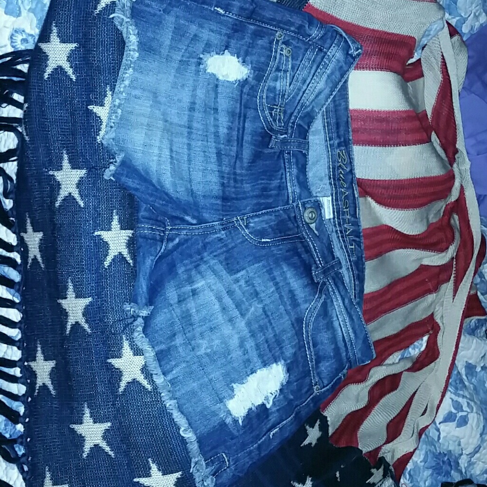 Blue Asphalt Jean shorts