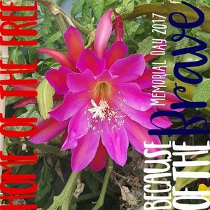 Meet your Posher, Marla