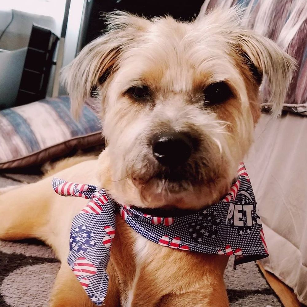 Meet your Posher, Max