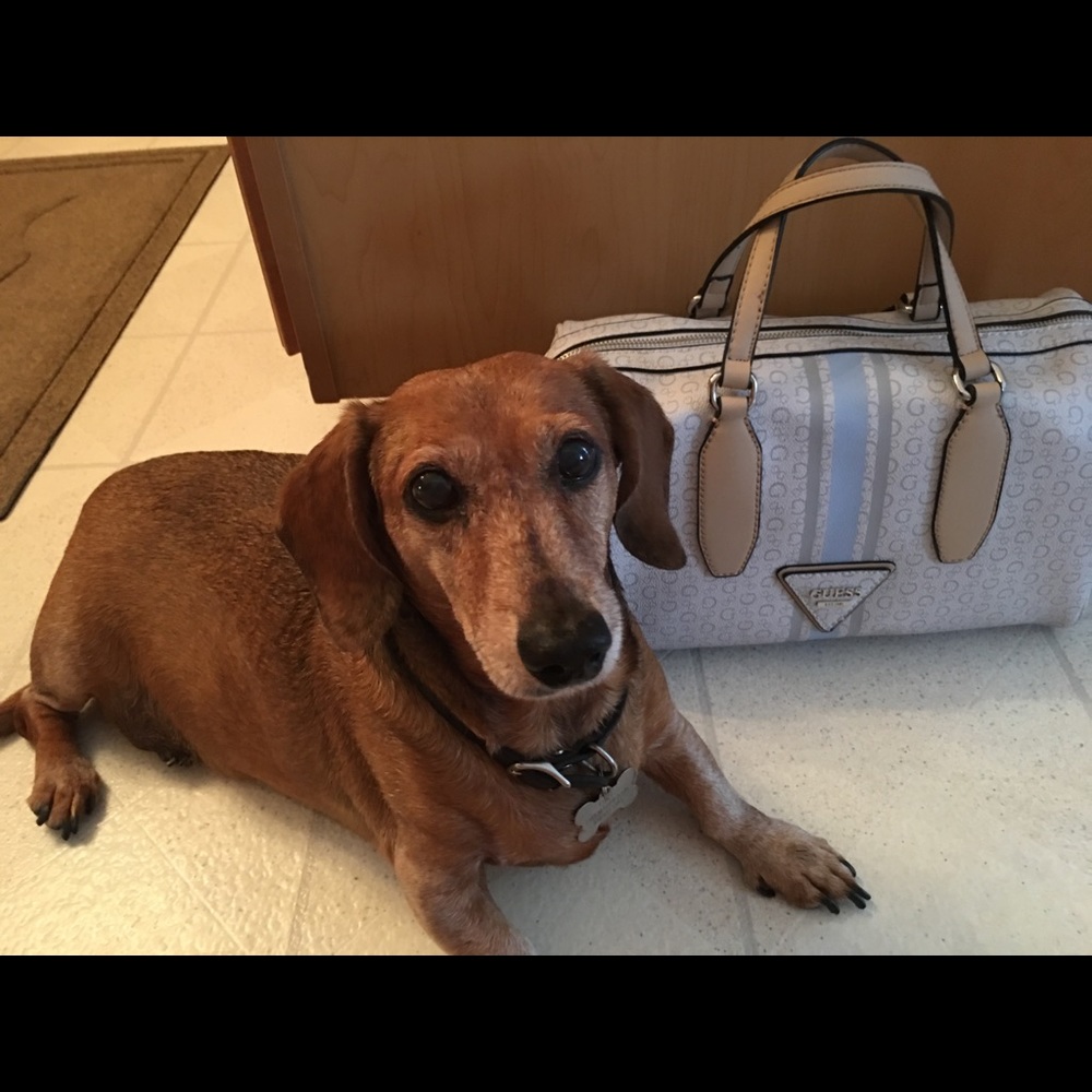 Purse