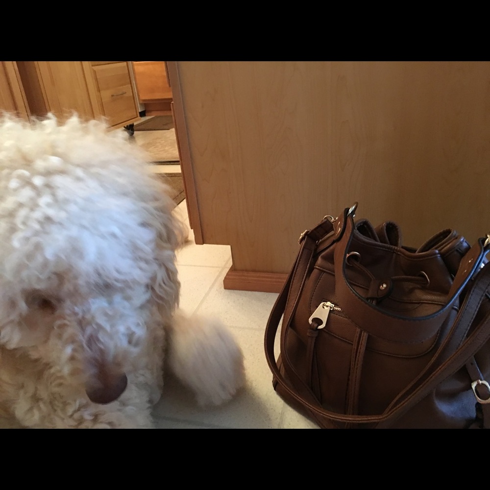 Purse - Picture 5 of 7