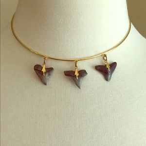 Trendy Shark Tooth Choker 🌑🦈