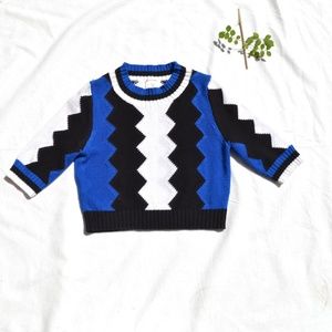 Short Sleeve Cropped Sweater