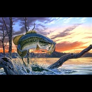 Meet your Posher, Manuel