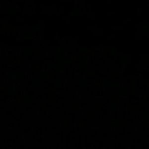 Meet your Posher, Maeshia