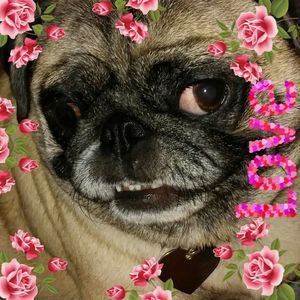 Meet your Posher, Cathy