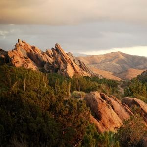 Meet your Posher, Cecilia