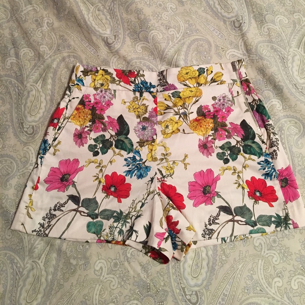 Zara Shorts  Size L
