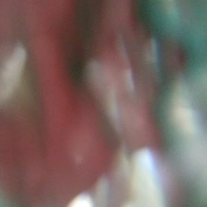 Meet your Posher, Trina