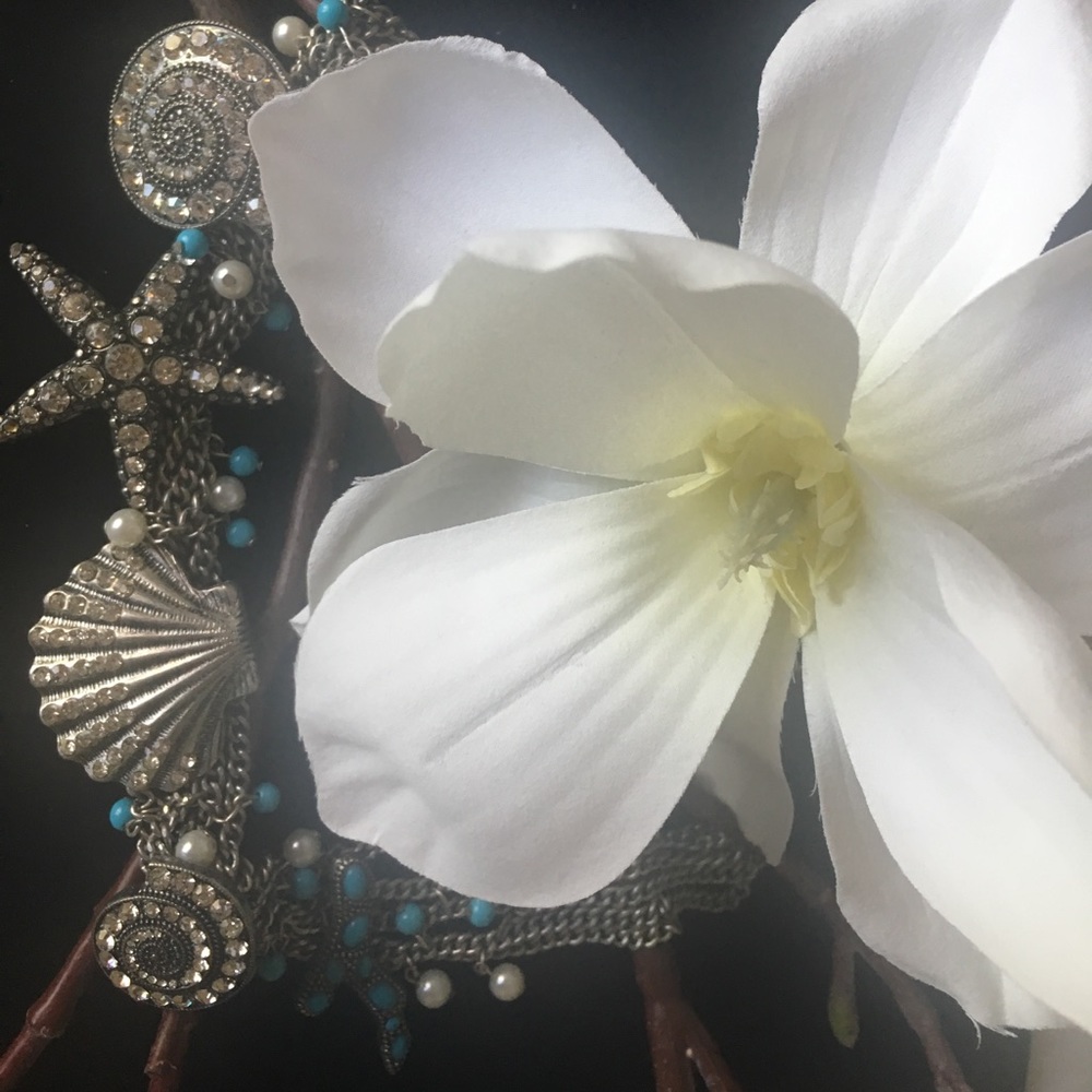 Meet your Posher, Norma