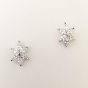 ⭐️Allison Star Shaped CZ Studs