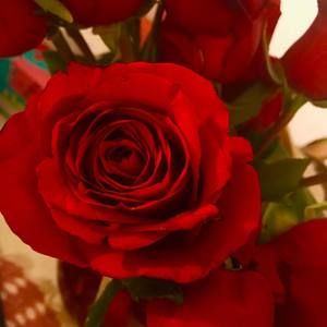 Meet your Posher, Marina