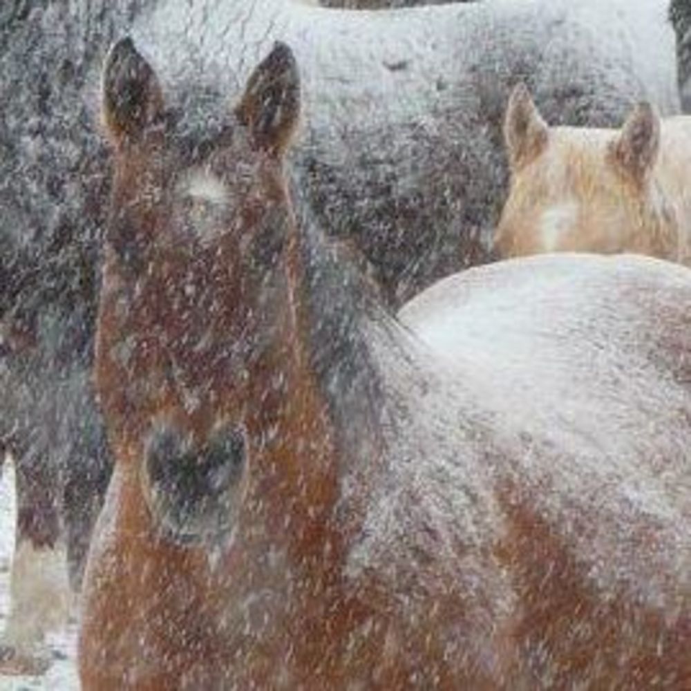 Meet your Posher, Felicity