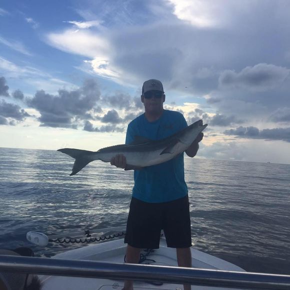 Meet your Posher, David - Picture 1 of 1