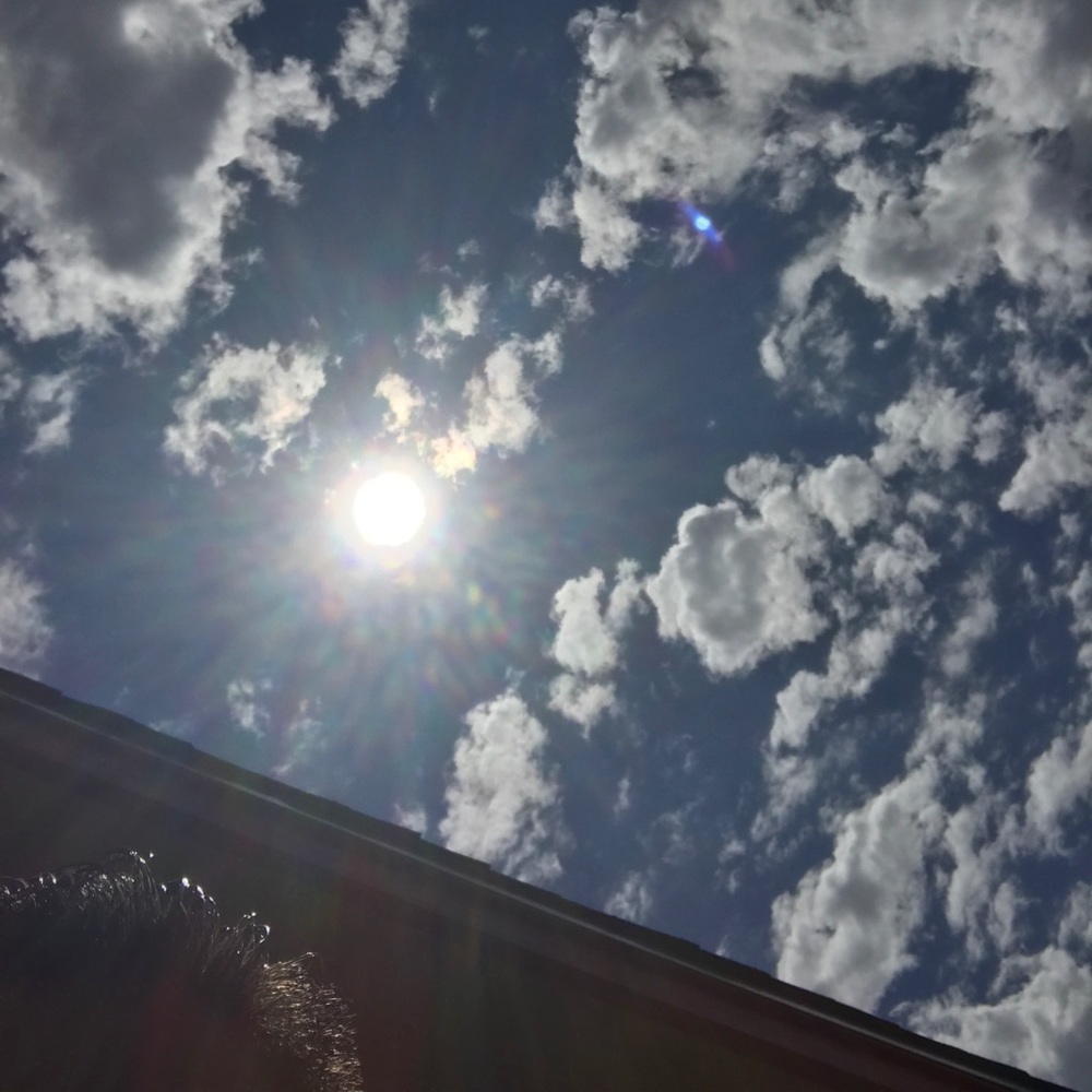 Meet your Posher, Lucus