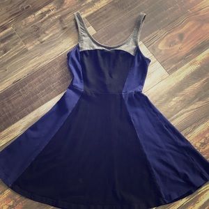Express Skater Dress