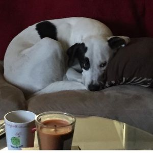 Meet your Posher, Stacey