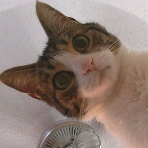 Meet your Posher, Katy