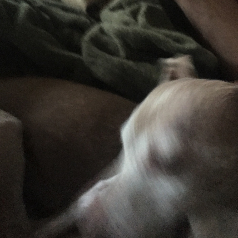 Meet your Posher, Angela