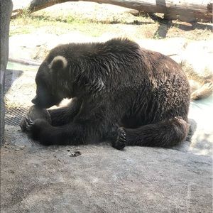 Meet your Posher, Martin