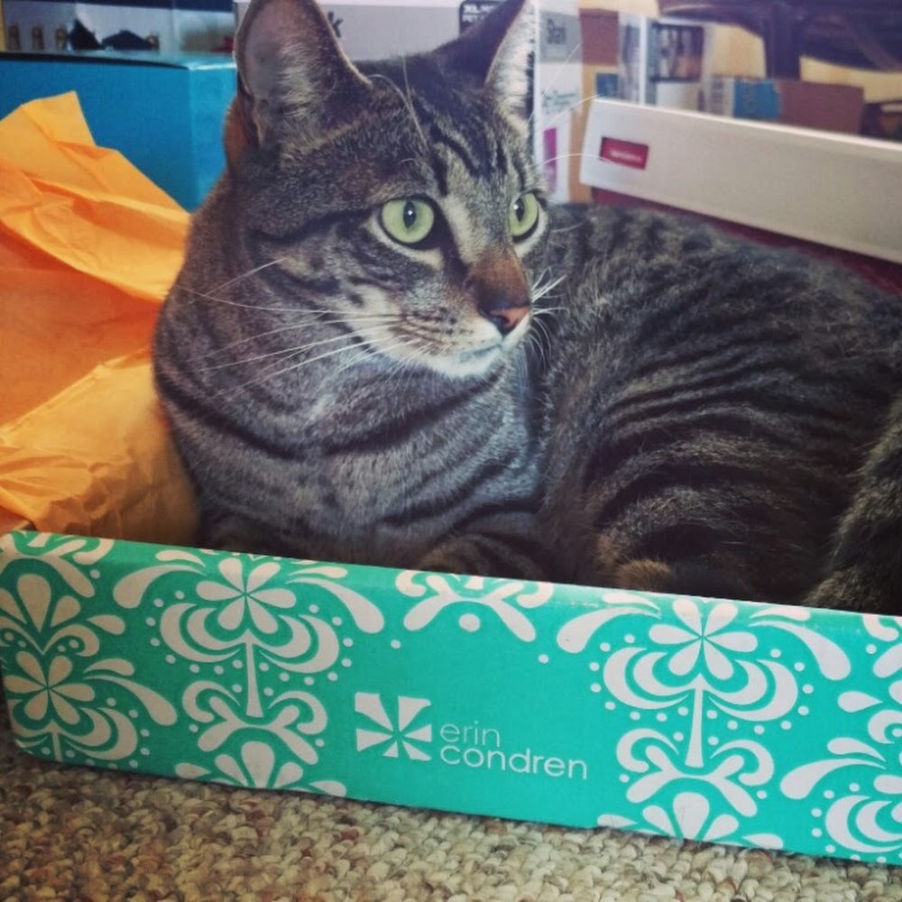 Meet your Posher, Hester gidget