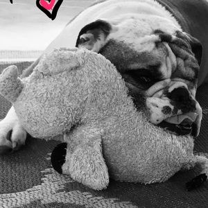 Meet your Posher, Kellie