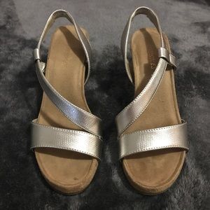 Silver wedges